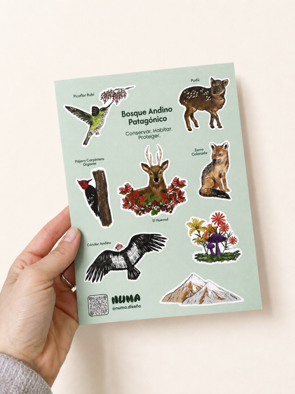 Producto - Plancha de stickers vinilo BOSQUE PATAGÓNICO