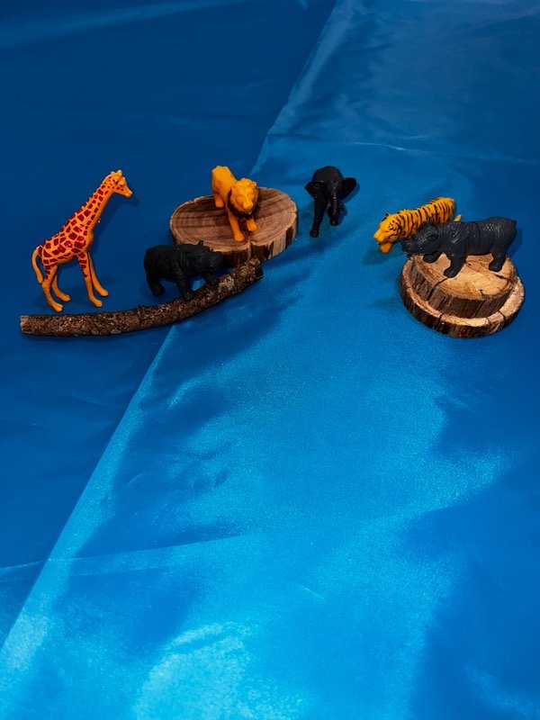 Producto - Mini SAFARI