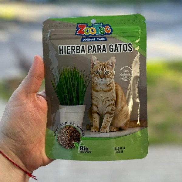 Producto - Semillas hierba gatera