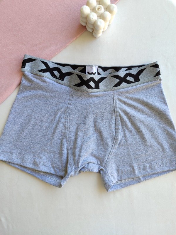 Producto - Boxer XY gris