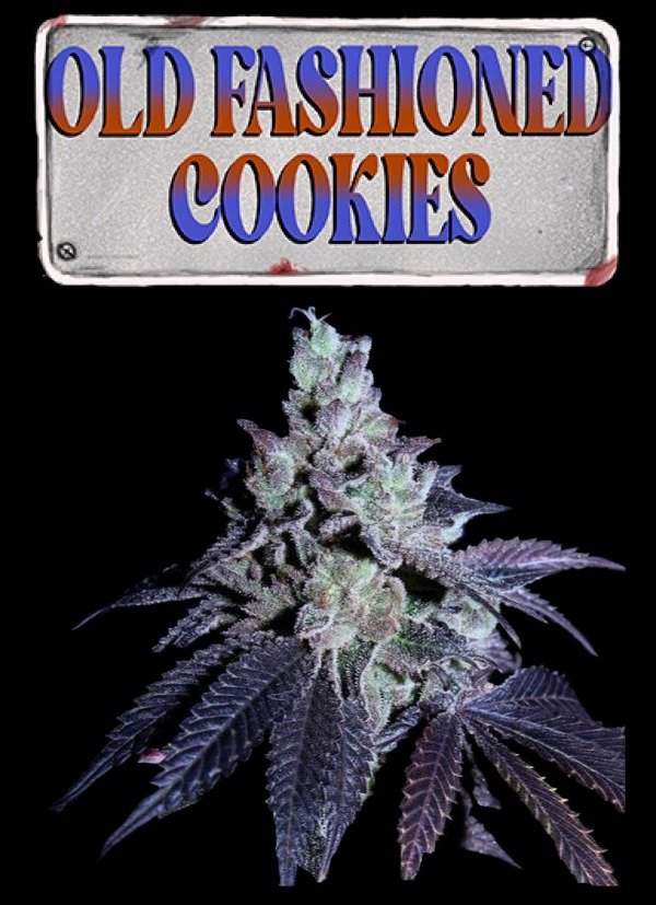Producto - OLD FASHIONED COOKIES X4