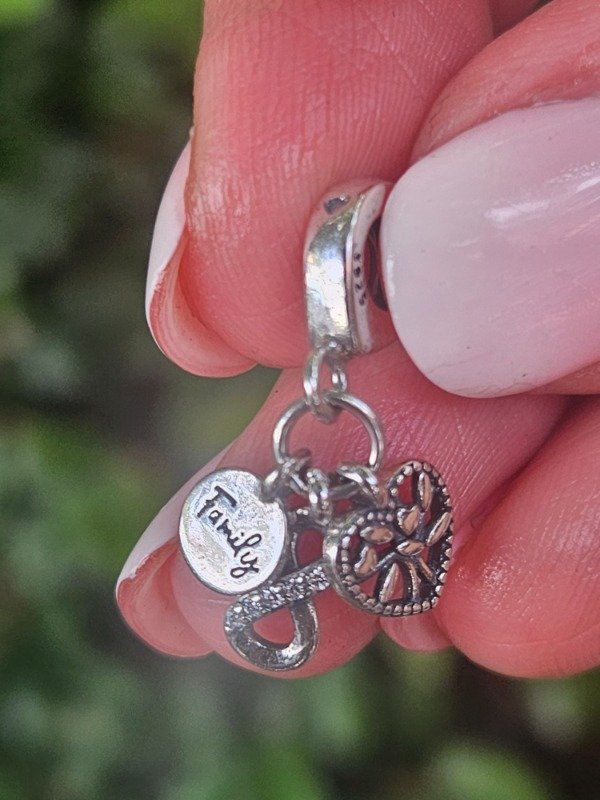 Producto - Charm Family