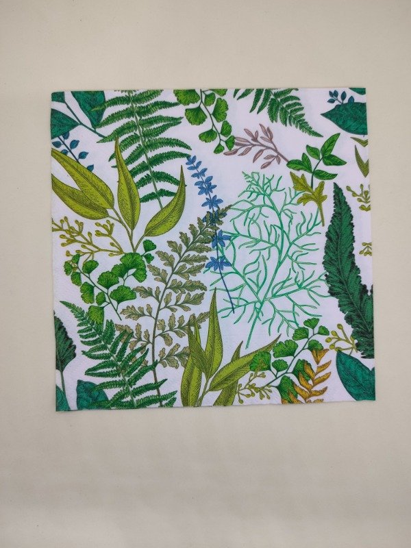 Producto - Soft nature