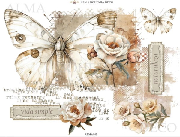Producto - TRANSFER ALMA BOHEMIA ALMA045