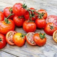 Producto - Tomate dwarf bundaberg