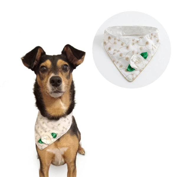 Producto - Bandana Noble