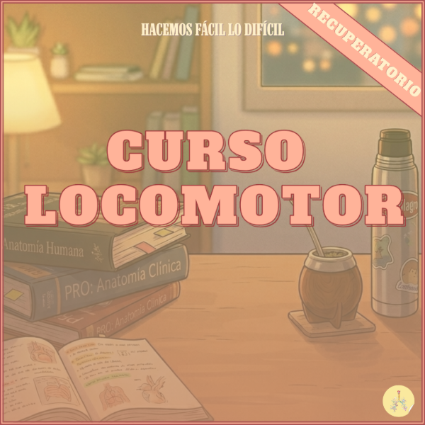 Producto - Recu Locomotor