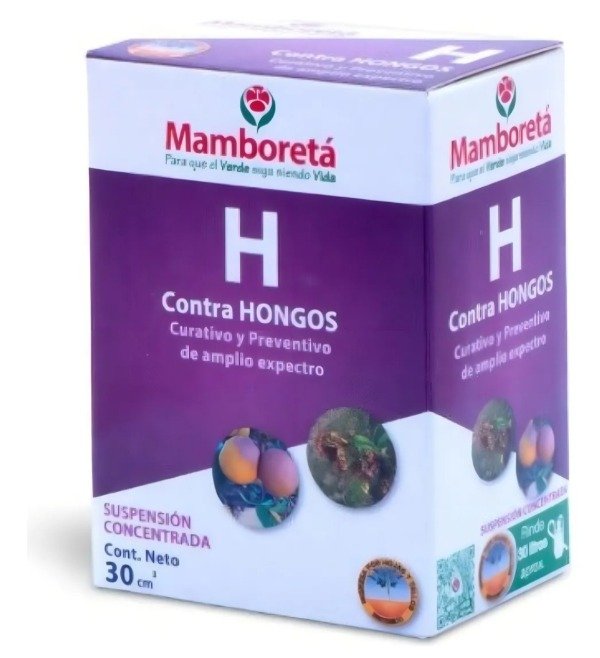 Producto - Mamboeta H