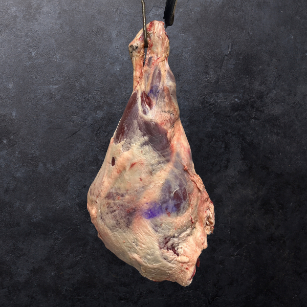 Producto - Cuarto trasero entero