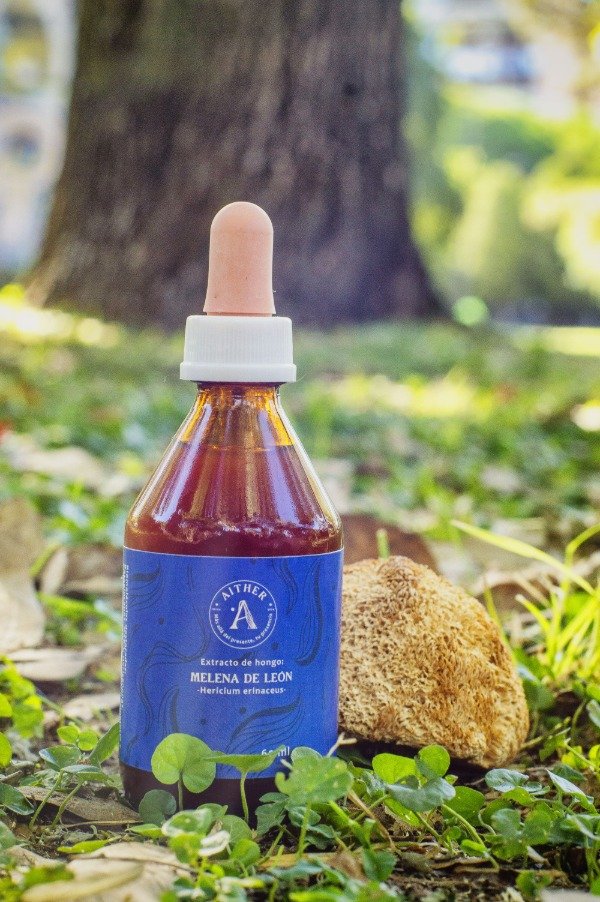 Producto - Extracto Melena de león 60ml