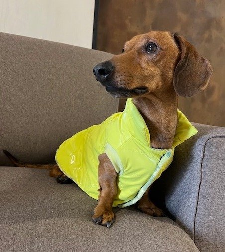 Producto - CHALECO LIMA