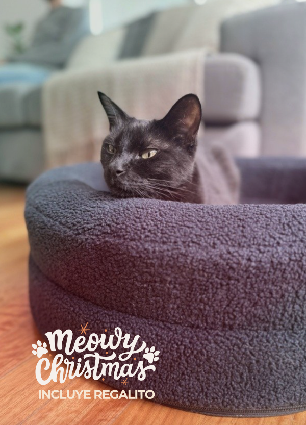 Producto - El Siestario: Cama Ortopédica