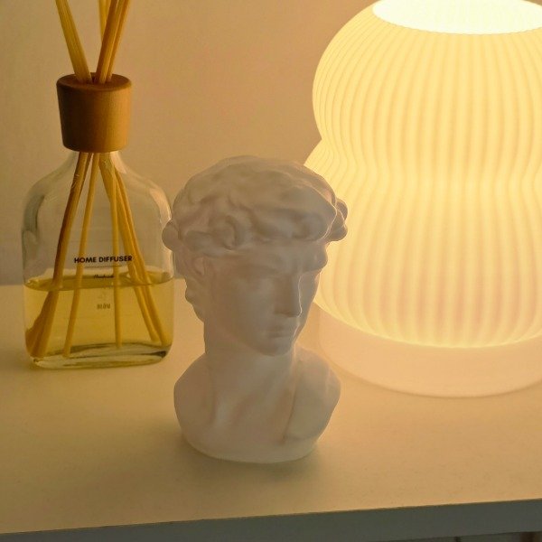 Producto - Adorno David