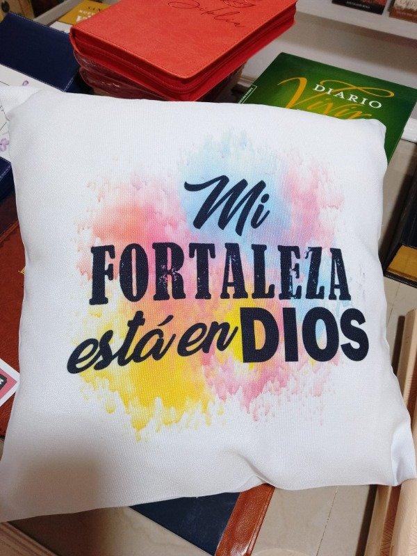 Producto - ALMOHADONES rellenos VARIOS Modelos - 7