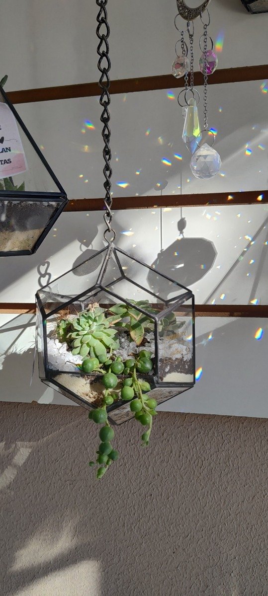 Producto - Terrario Gema