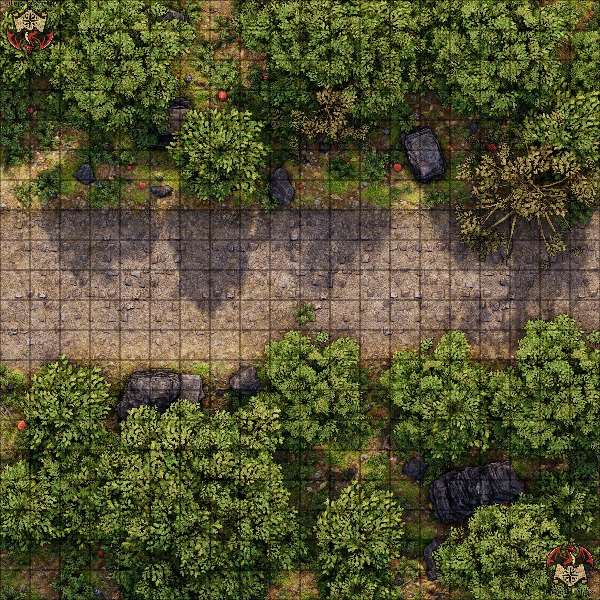 Producto - Camino en el bosque 1