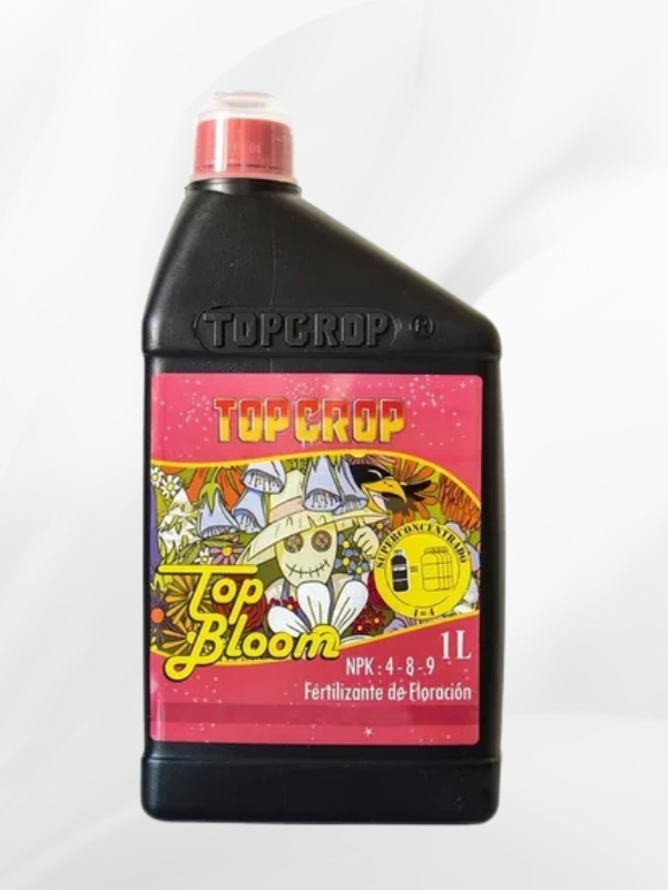Producto - TOP CROP TOP BLOOM 1LT