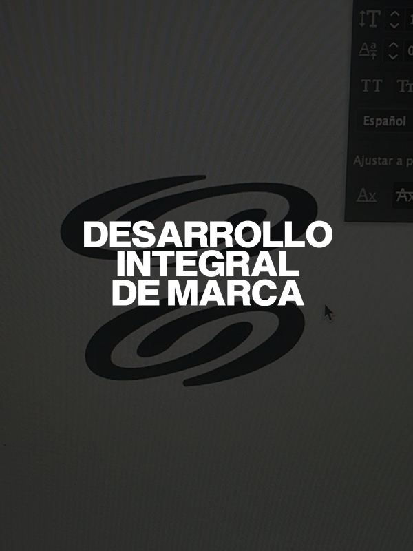 Producto - DESARROLLO INTEGRAL MARCA - 1