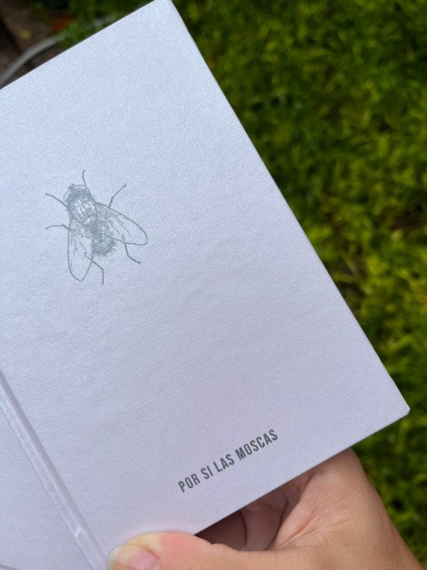 Producto - Por si las moscas // Cielo Salatino