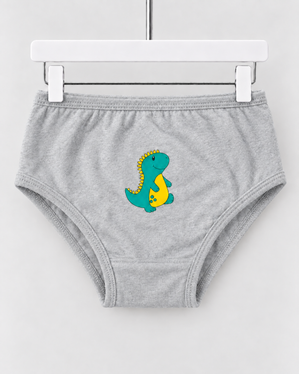 Producto - Pack de bombacha  Dino - 2