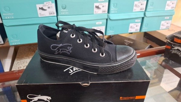 Producto - Jaguar Negro