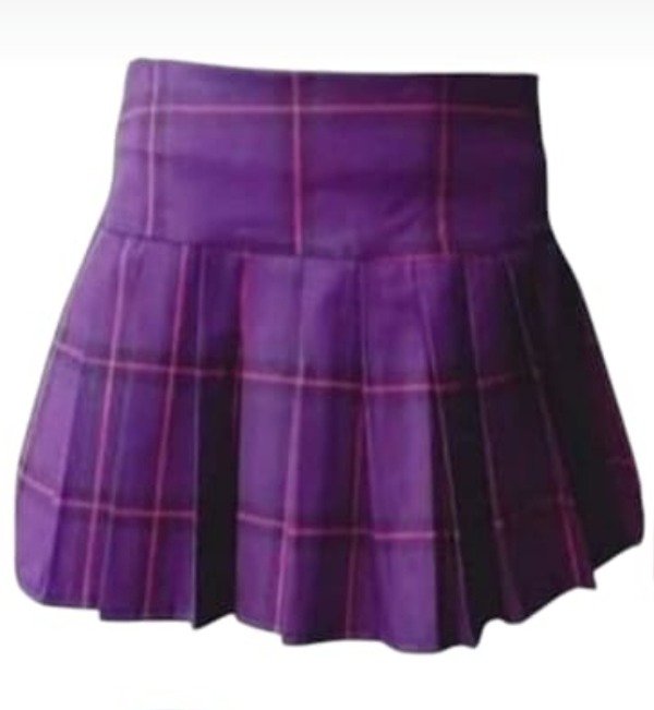 Producto - Pollera violeta hopkins