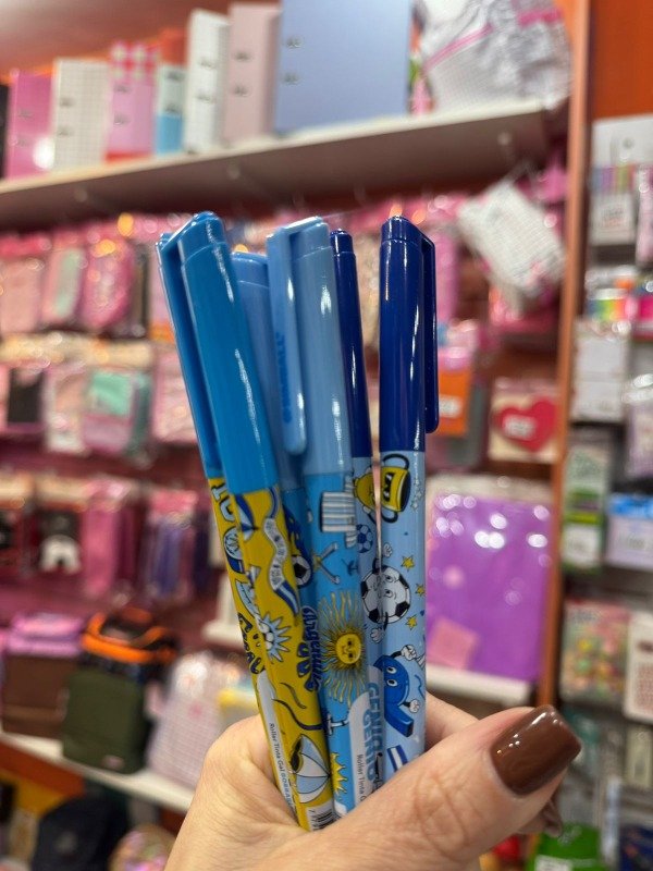 Producto - Lapicera borrable Argentina