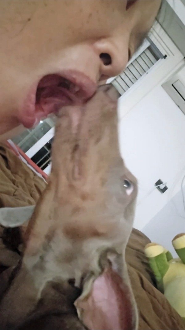 Producto - 25-004 Silver Kiss (4.01 min)