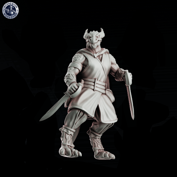 Producto - Dragonborn Picaro