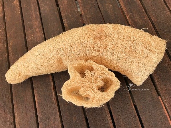 Producto - Esponja vegetal