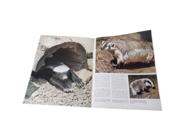 Miniatura de producto - 5