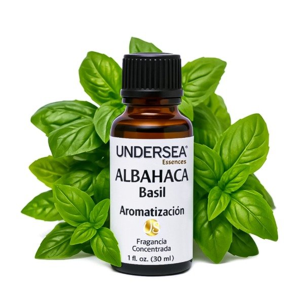 Producto - ALBAHACA