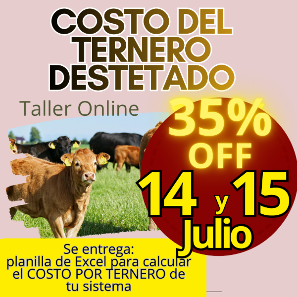 Producto - Taller Online: Costo del Ternero