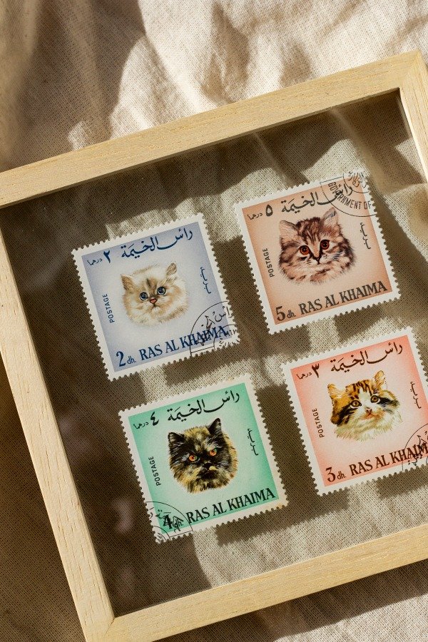 Producto - Estampillas Gatitos IV