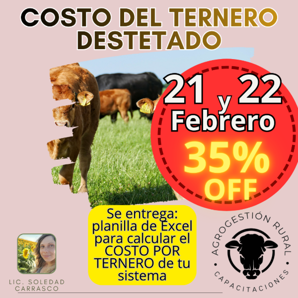Producto - Taller Online: Costo del Ternero