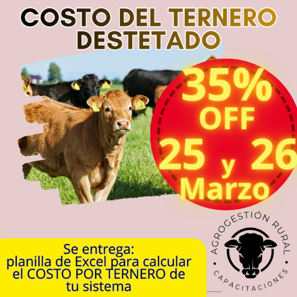 Producto - Taller Online: Costo del Ternero