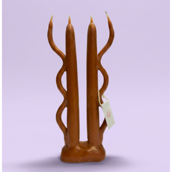 Producto - vela bicho x particula
