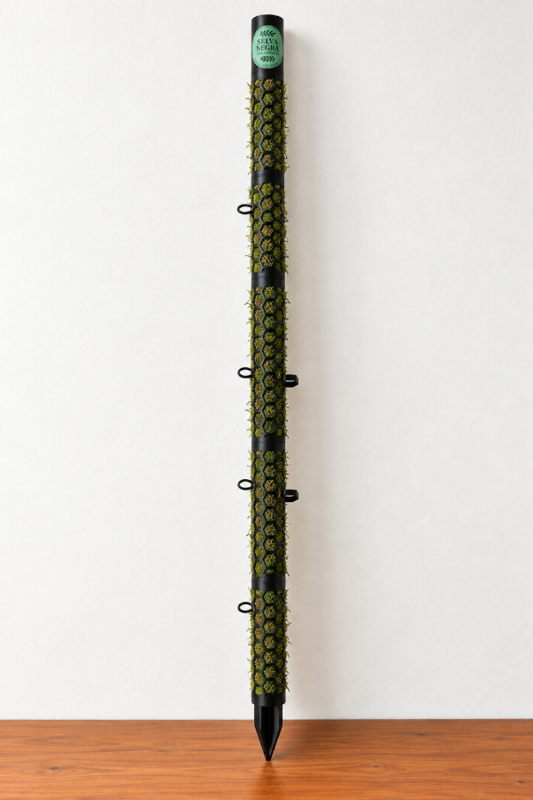 Producto - Tutor de Musgo Encastrable - 1