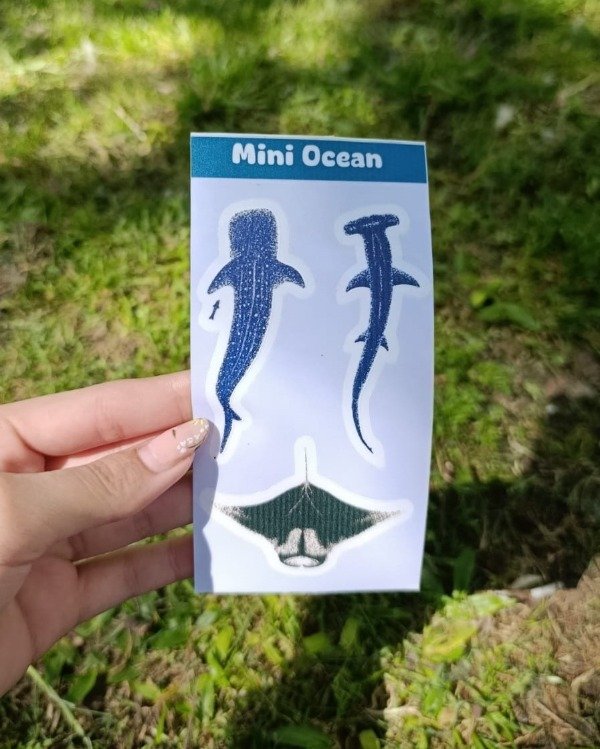 Producto - Mini Plancha Tiburones