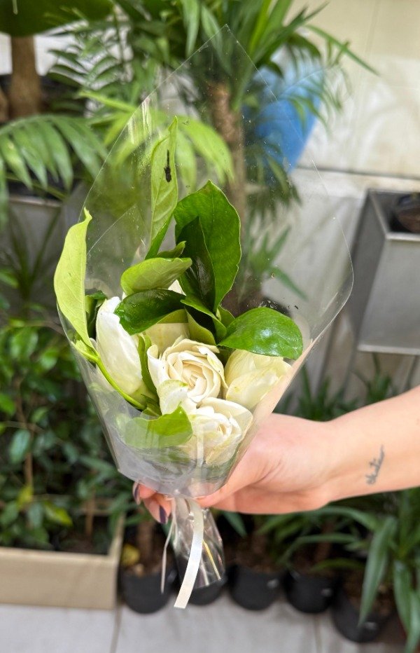 Producto - JAZMIN CHICO