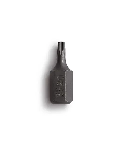 Producto - PUNTAS ACERO S-2 (10x30mm) TORX T-60 BREMEN cod 5504