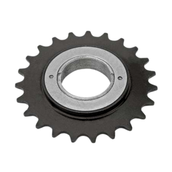 Producto - PIÑON LIBRE 24 DIENTES