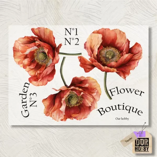 Producto - Transfolex color (plancha) 273