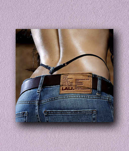 Producto - STICKER HOLOGRÁFICO - LALI - TAPA