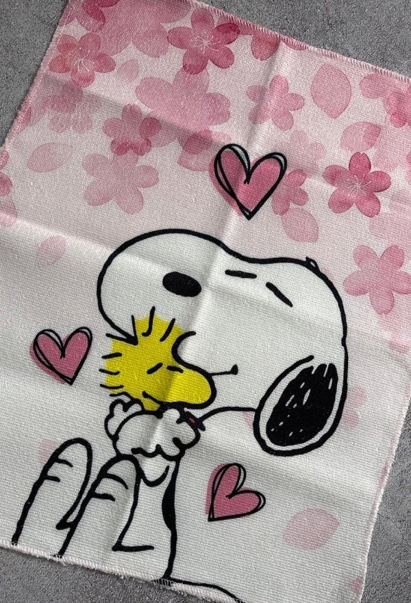 Producto - REPASADOR - SNOOPY I