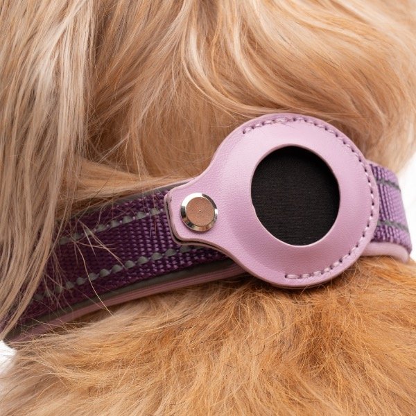 Producto - Collar Balto LILA