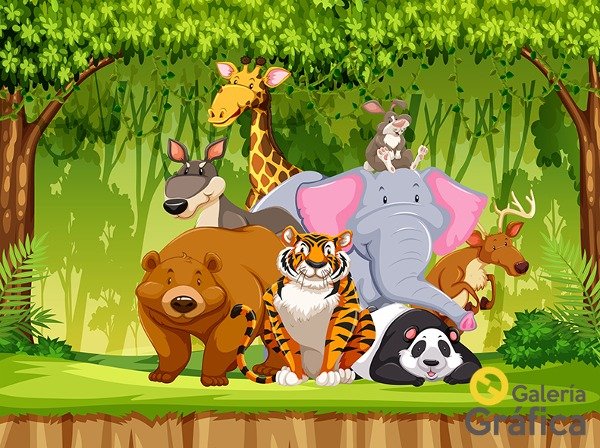 Producto - Animalitos FS 12