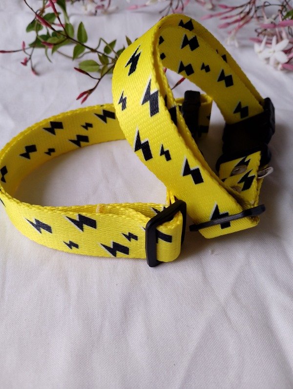 Producto - Collar Magnus - 3
