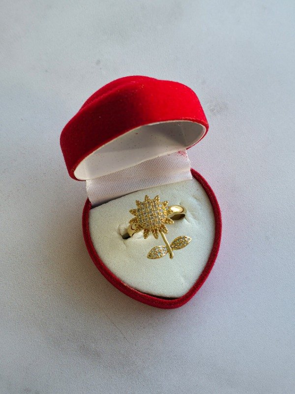Producto - Anillo giratorio regulable