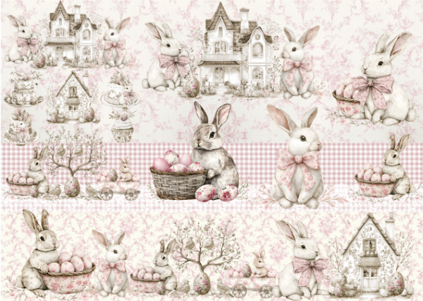 Producto - RABBIT 6